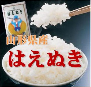 令和５年産 山形県産 はえぬき 白米 ３０kg(５kg×６)