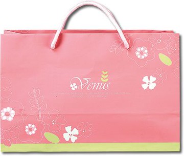 【零售量】通用手提袋/維娜斯/50個