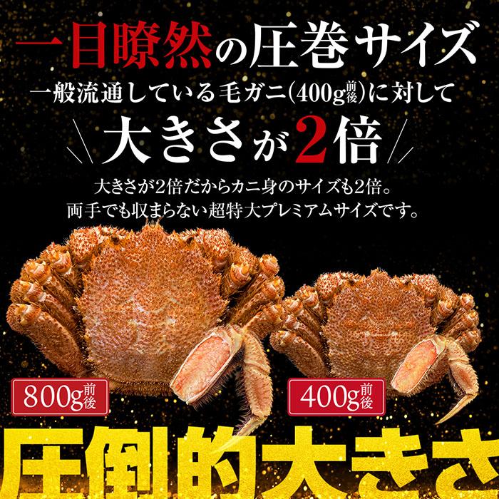 毛ガニ 800g 前後 1尾 プレミアム  北海道産 浜茹 流氷明け 水揚げ 蟹みそ 毛がに 毛蟹 かに カニ 蟹 ギフト