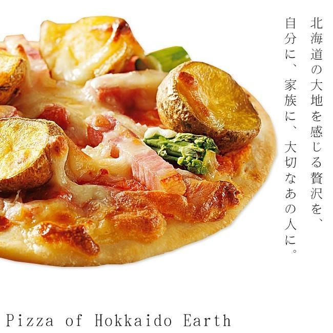 北海道大地のピザセット(大地のピザ5枚セット)主原料北海道産 ゴロゴロ具材(冷凍ピザ ほっかいどうPIZZA)ギフト 贈り物(送料無料)