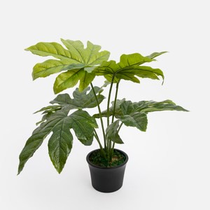 艾禮思擬真盆栽木瓜葉1.5尺