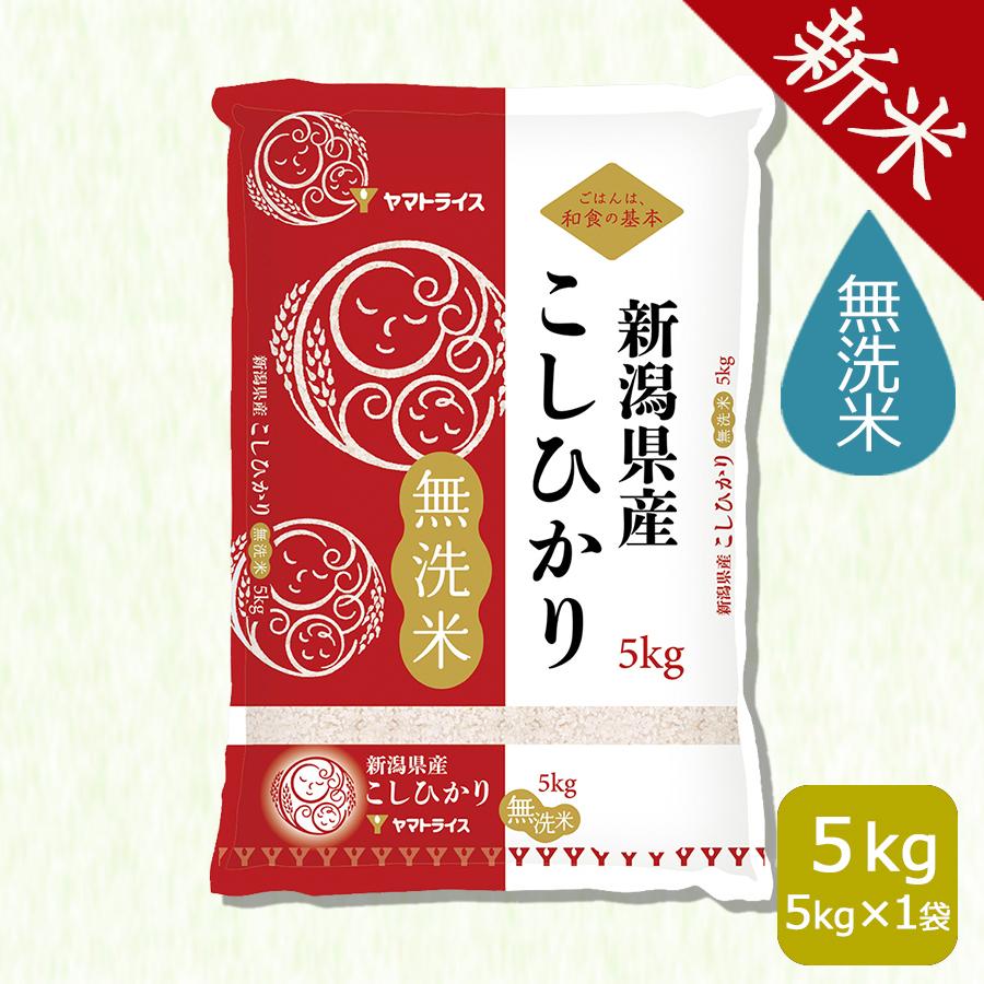 米 お米 無洗米 コシヒカリ 5kg 新潟県産 令和5年産