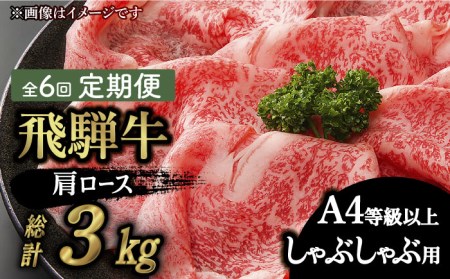 飛騨牛A4等級以上 ロース 肩ロース しゃぶしゃぶ用 500g  和牛 ブランド牛 焼肉 国産  [TAZ025]