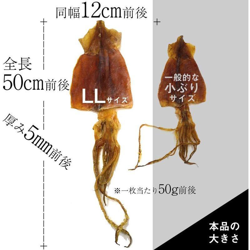 するめ 函館名産 スルメイカ 特大サイズ×10枚入 (約500?550g) 北海道産 するめ するめいか スルメ