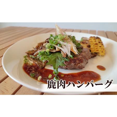 ふるさと納税 鹿肉ミンチ900g（300g×3パック） 岐阜県池田町