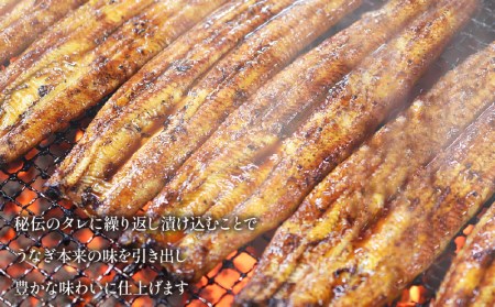 宮崎県産 備長炭蒲焼 うなぎ蒲焼 2尾 セット 合計300g以上 丑の日 蒲焼き うなぎの蒲焼