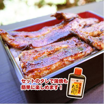 ふるさと納税 吉田町 血抜き締め国産うなぎを炭火で1本1本丁寧に手焼きした「うなぎの白焼き(大串)」4尾セット