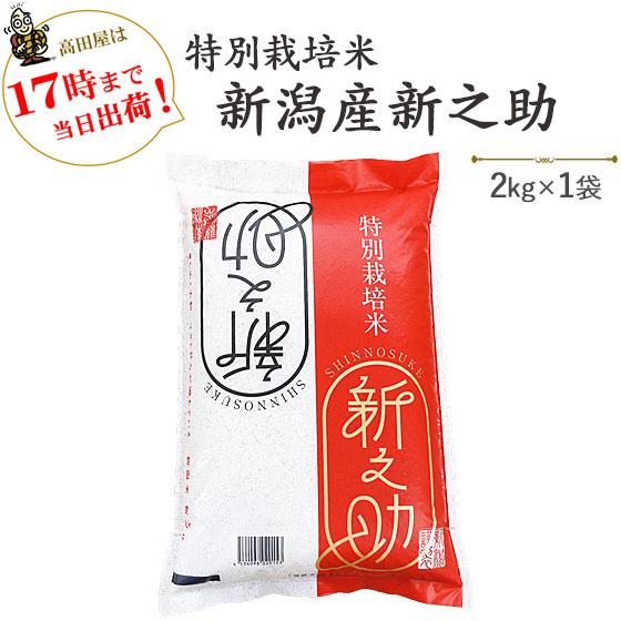 令和５年産　お米 2kg　特別栽培米新潟産 「新之助」 2kg 当日出荷　※送料別途