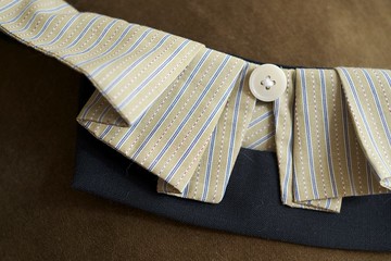 寵物禮服訂製/百摺領內襯配洋裝 Pleated collar with Skater Dre