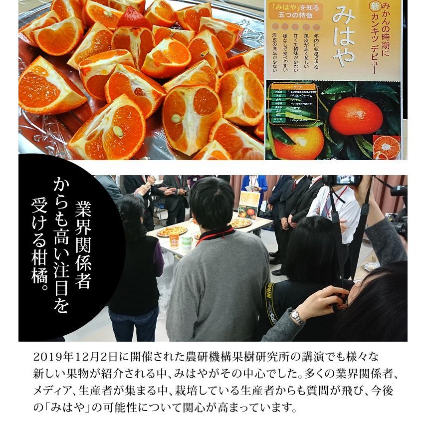 『みはや』佐賀県産柑橘 約5kg 秀〜優品 S〜Lサイズ ※常温 JAからつ　送料無料