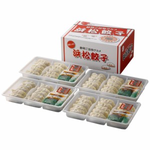 浜松餃子 HG-40 冷凍 （送料無料） 直送