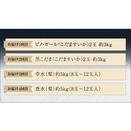 ふるさと納税 先行予約  旬 の フルーツ 定期便 ミニコース JA 幸水 豊水 こだまスイカ 黒こだま ピノ・ガール 果.. 茨城県筑西市