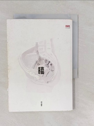 【書寶二手書T1／短篇_YUH】哀豔是童年_胡淑雯