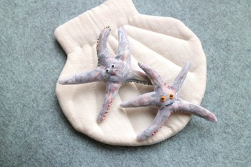 七彩海星髮夾
