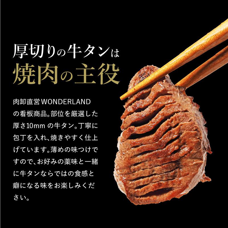 メガ盛り 焼肉セット 肉 訳あり 送料無料 福袋 牛タン ホルモン カルビ ハラミ ロース 焼肉 bbq お取り寄せ グルメ ギフト 食品 メガ盛り 3.4kg