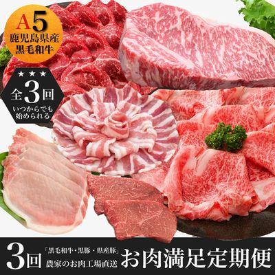 ふるさと納税 南九州市 農家のお肉工場直送鹿児島県産お肉満足定期便