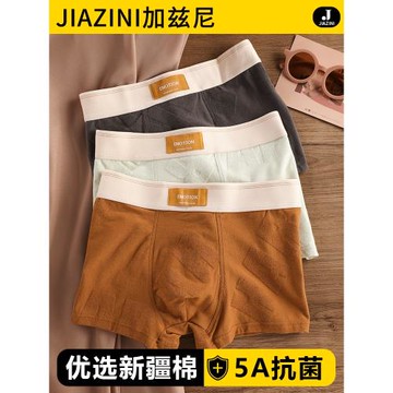 內褲男生純棉抗菌透氣全棉男式2026新款秋冬男款平角四角男士短褲