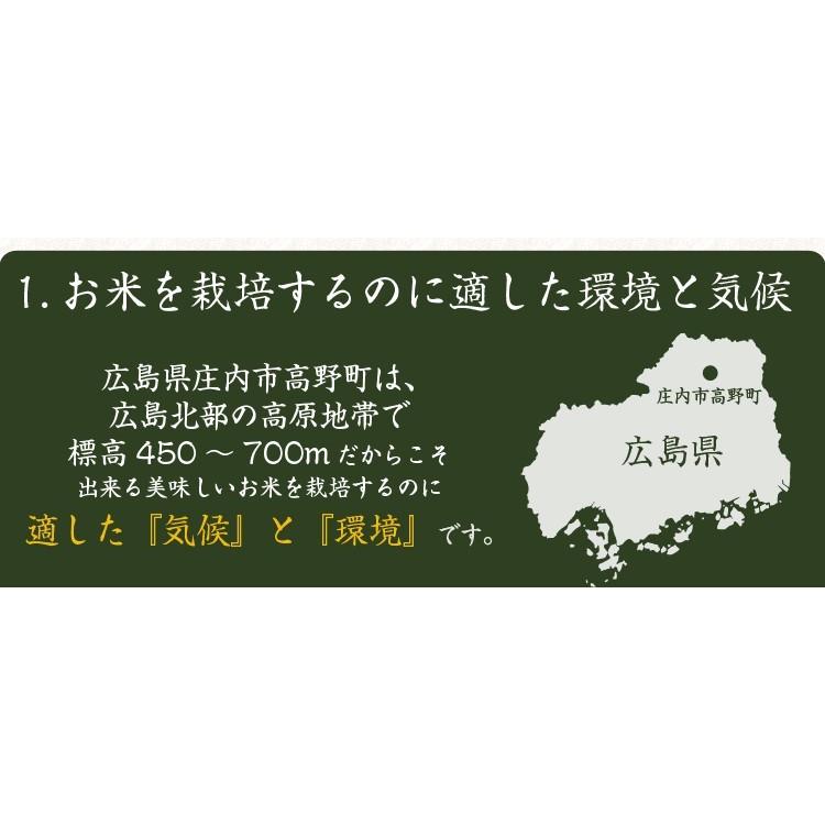 新米 令和3年 自然栽培米 無農薬 新米 米 送料無 5kg 高級 お歳暮 ギフト 高級 贈答 プレゼント 食べ物 純国産 金賞 コシヒカリ 送料無料 お祝い