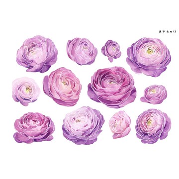 【10月新品4】20-22-0114 裁切紙・拼貼素材 毛茛屬