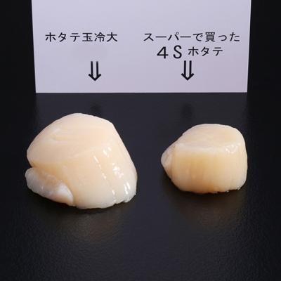 ふるさと納税 紋別市 オホーツク産ホタテ玉冷大(1kg)×3回★