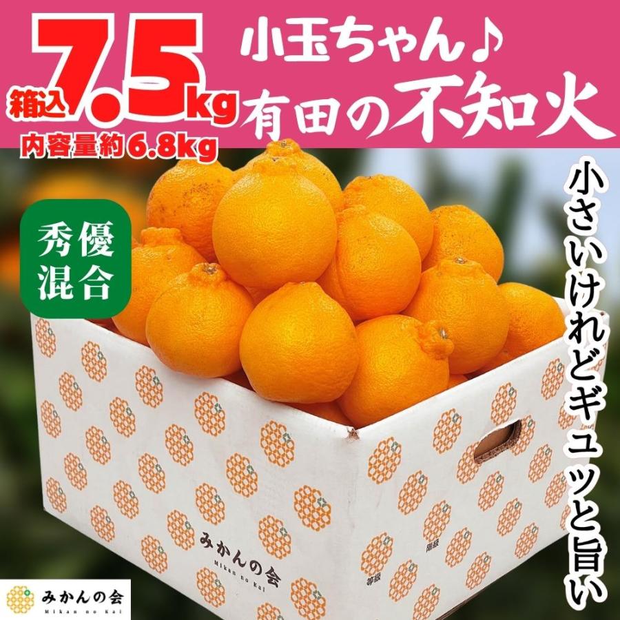 不知火 (しらぬい) 小玉ちゃん 箱込 7.5kg (内容量約6.8kg) 秀品 優品 混合 和歌山県産 産地直送 