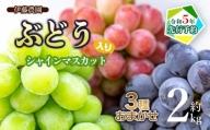  シャインマスカット入り 3種おまかせ ぶどう 約2kg　伊藤農園