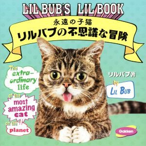  永遠の子猫リルバブの不思議な冒険／リルバブ(著者),岩田佳代子(訳者)