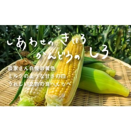 ふるさと納税 大地の恵み 「とうもろこし2色セット」10本 北海道栗山町