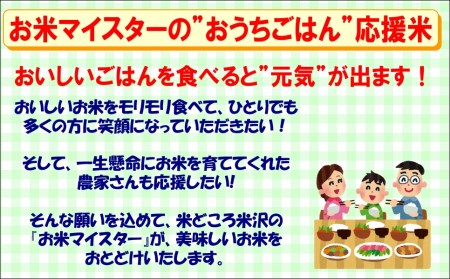  はえぬき 計20kg 月 1回配送 5kg×4袋 2023年産 [006R5-034]