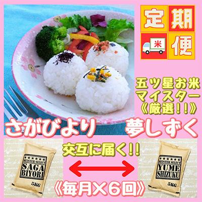 ふるさと納税 江北町 『さがびより』と『夢しずく』白米5kg食べ比べ!(江北町)全6回