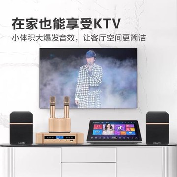 InAndOn音王 3500家庭ktv音響套裝卡拉ok點歌機家用K歌音箱設備