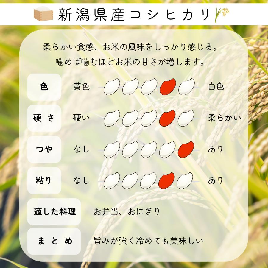 新米 米 お米 5kg 新潟県産 こしひかり 白米 5キロ 令和4年産 5kg×1袋 精米