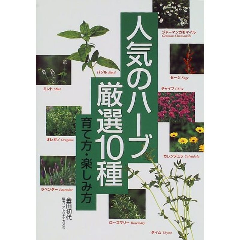 人気のハーブ厳選10種?育て方・楽しみ方