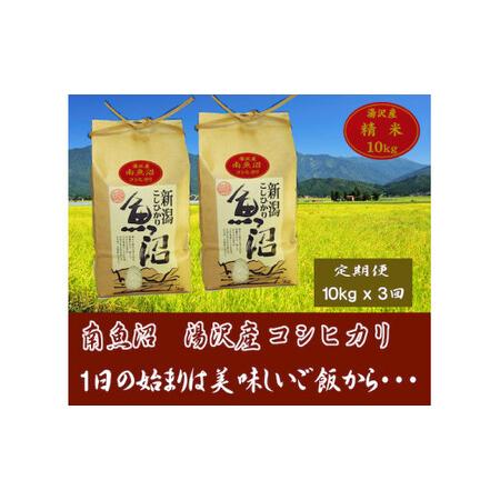 ふるさと納税 令和5年産 湯沢産コシヒカリ＜精米＞（白米）10kg（5kg×2袋）精米したてのお米をお届け 新潟県湯沢町