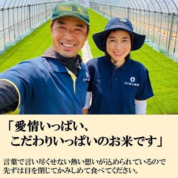 　もち米　カグラモチ　お試し米　5合　一等米　石川県産　生産農家　安心安全　農家直送米　送料込み