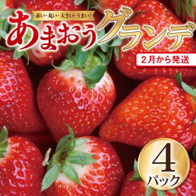 ふるさと納税 朝倉市 5玉〜15玉(4パック)朝倉