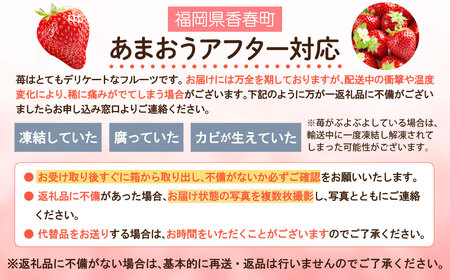 エコファーマー あまおう 約280g×2パック 計約560g