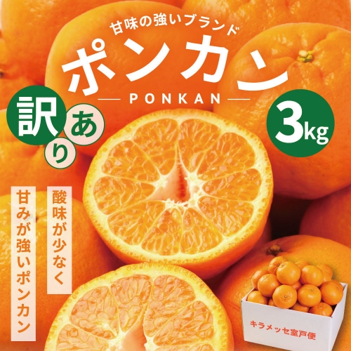 人気の柑橘室戸産ポンカン２．５ｋｇ