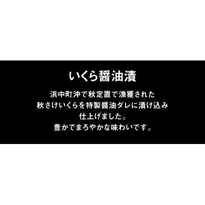 ふるさと納税 浜中町 さけいくらセット