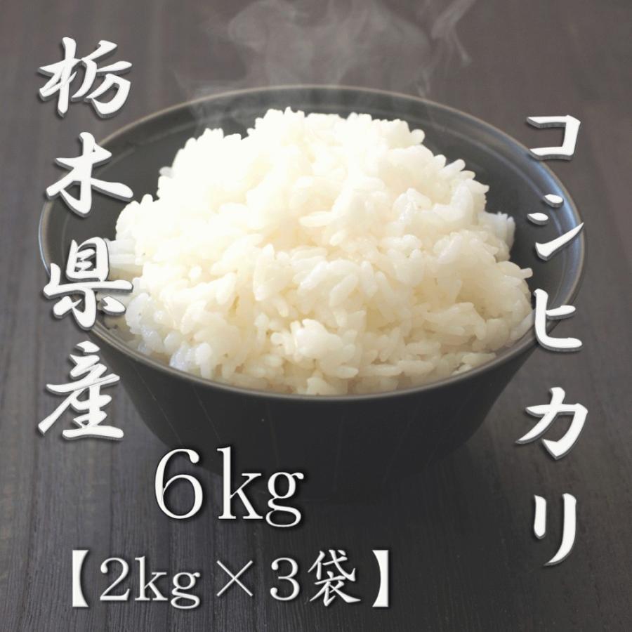 新米 栃木県産コシヒカリ 2kg×3袋 合計6kg