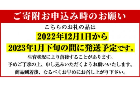 akune-2-204 ＜先行予約受付中！2023年12月上旬以降発送予定＞期間限定！スナップえんどう(計1.5kg)国産 鹿児島県産 ハウス栽培 野菜 豆2-204