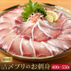 延岡産活〆ブリのお刺身400g～550g