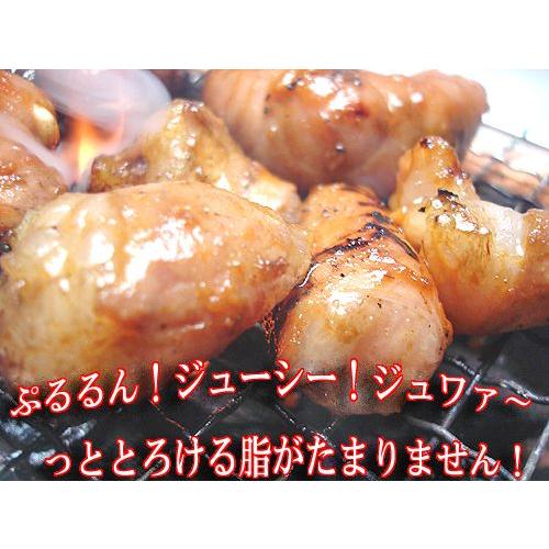 店長おすすめ メガ盛りホルモンセット 送料無料  お歳暮 父の日 バーベキュー 焼肉 Ｂ級グルメ 肉の日  牛ホルモン 豚ホルモン