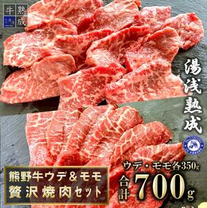 BS6208_湯浅熟成 熊野牛 ウデモモ贅沢焼肉セット 700g