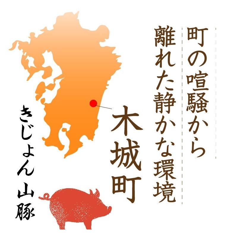 ギフト 宮崎県産きじょん山豚 しゃぶしゃぶ用 肩ロース 1,000g 5人前  ギフト対応可 送料無料 グルメ Y凍