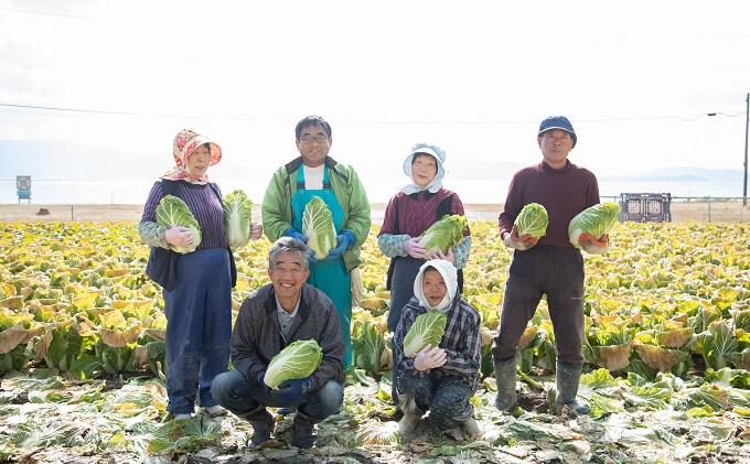 瀬戸内 牛窓産 白菜 約15kg（5～6玉） 野菜 はくさい