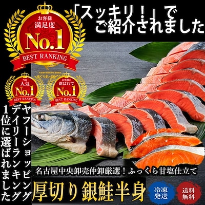 まるっと半身分！ふっくら厚切り塩鮭　テレビ紹介　約9切から11切入　冷凍　甘塩