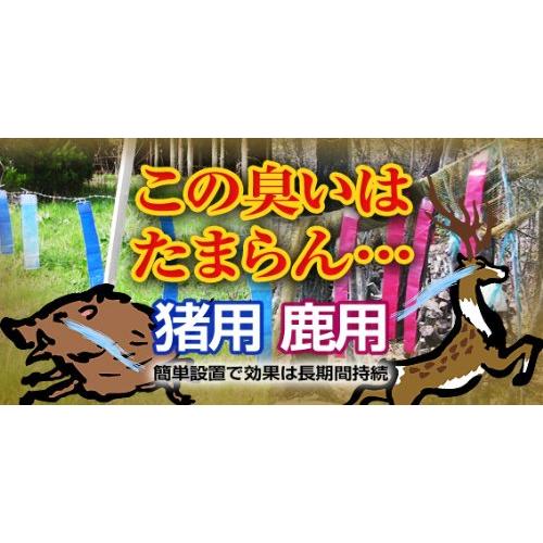 猪の被害・対策に 亥旦停止 いったんていし