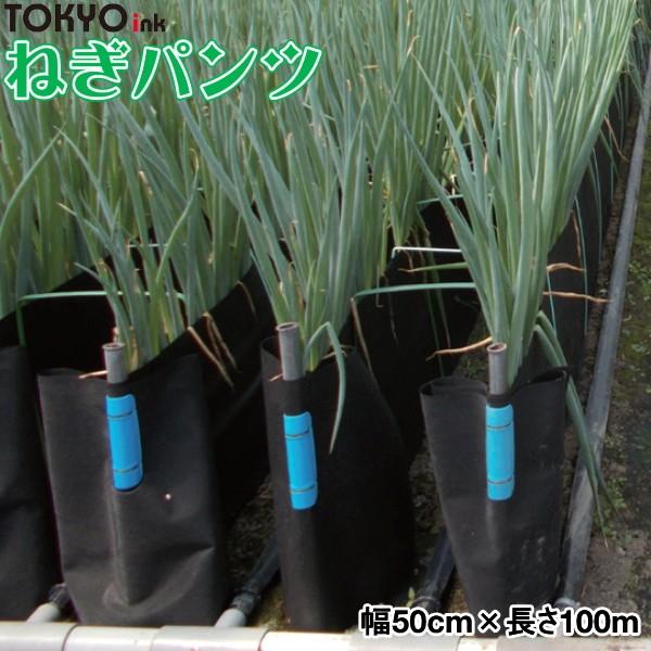 軟白ねぎ栽培用遮光シート　ねぎパンツ　幅50cm×長さ100m