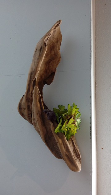 小綠綠與木木  黑手指朋友好禮 居家妝點  浪漫省時省力又美麗